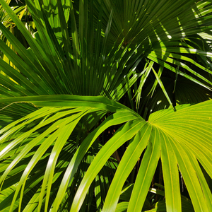 老太太裸体自慰
